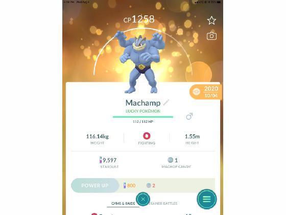 lucky machamp