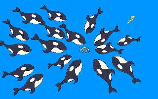 whale attack 2