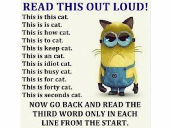 Funny Cat memes 4