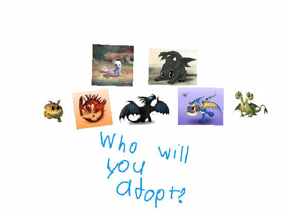 dragon adoption