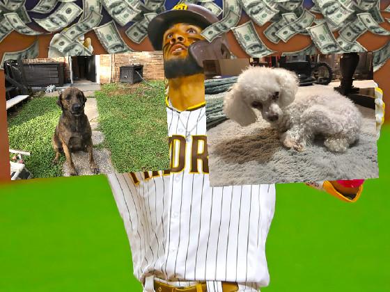 the poodle died yesterday
