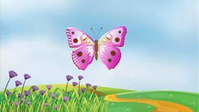 Butterfly Life Cycle