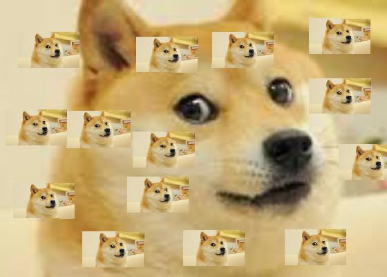We will rock you doge 1