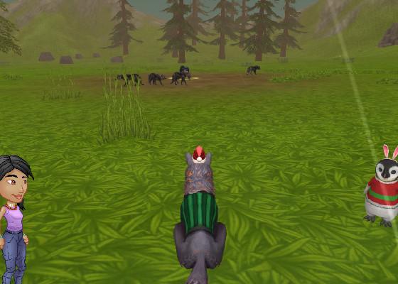 me lvling up in wildcraft
