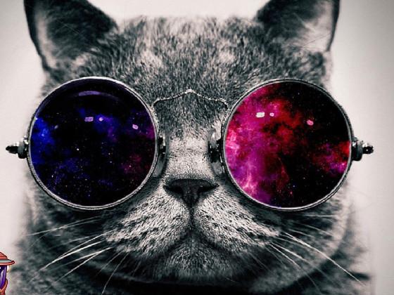 this be cat be space cat ⚡️🐈‍⬛