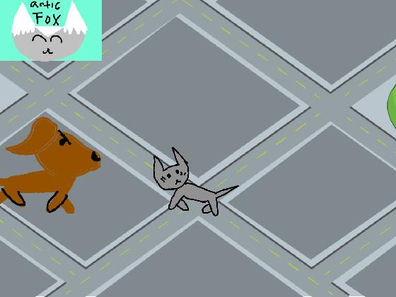 gif cat v.s. dog