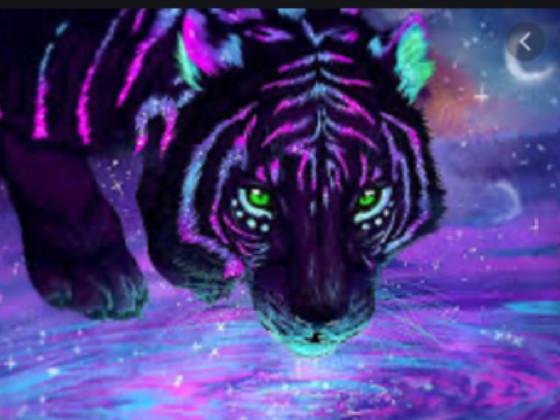 Very calming show plz ❤️