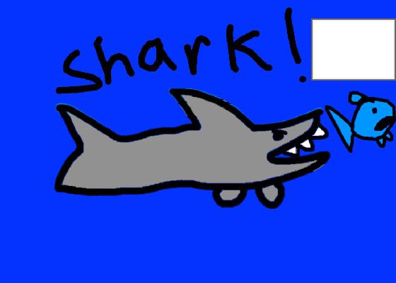 Shark! 1 1
