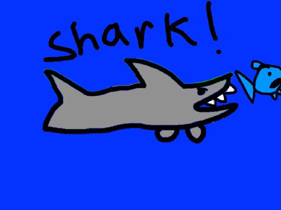 Shark vip profit