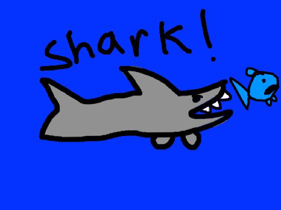 Shark game