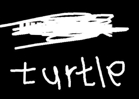 turtle battle