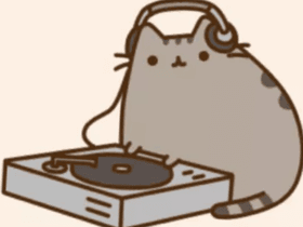 Pusheen plays Western mucic