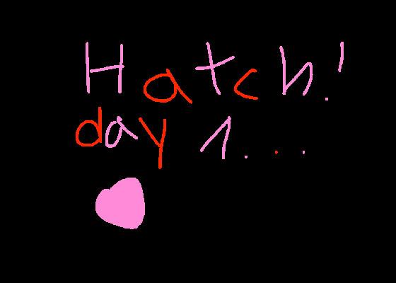 Hatch! Day 1