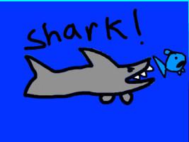 Shark! 1 1