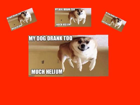 Operation:DOGE