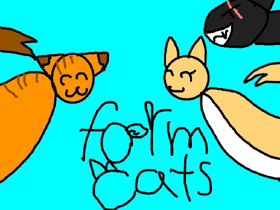 form cats