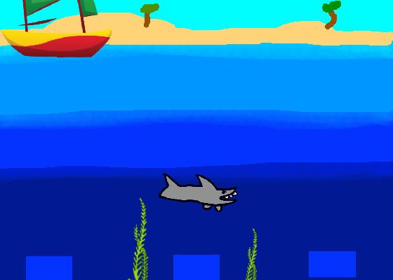 Shark!