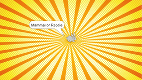 Mammal or Reptile