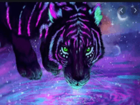 Very calming show plz ❤️