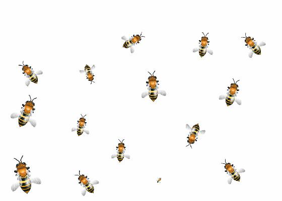 Bug Smasher