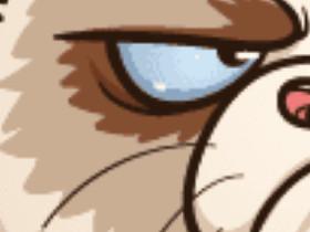 Grumpy Cat 1
