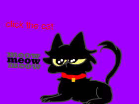 Black Cat so cute