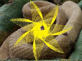 Spiral Triangles 2 - copy