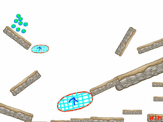 marble race bouncy ride