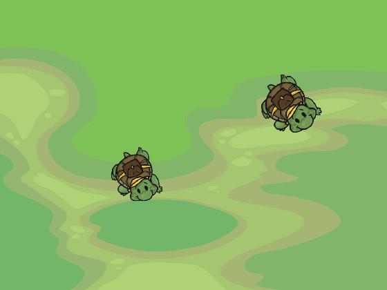 Turtle Trails 1