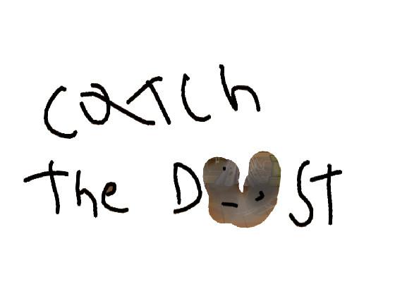 Carch the dust!