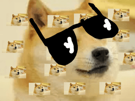 We will rock doge