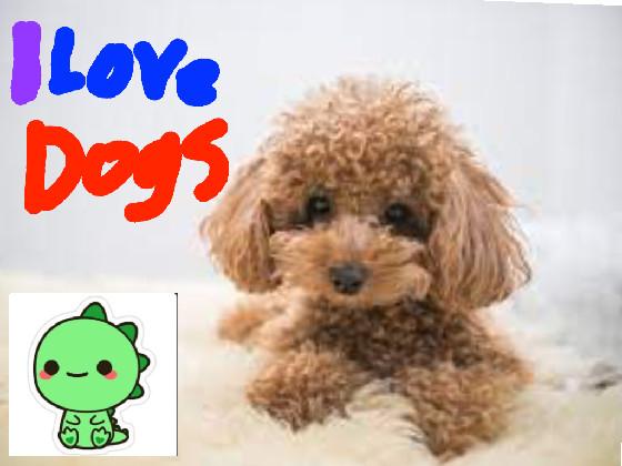 like if you like dogs❤️❤️❤️❤️