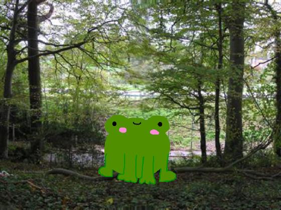frog in a forrest