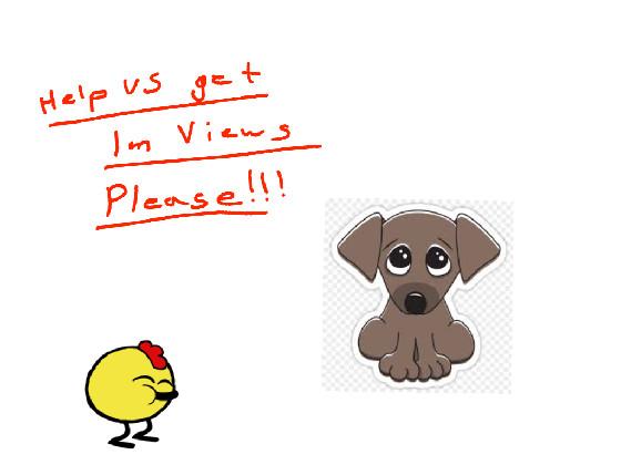 This Dog will Get 1m Views 🐶