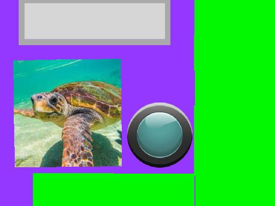Turtle Clicker 🐢