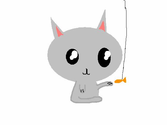 Grey kitty and fish