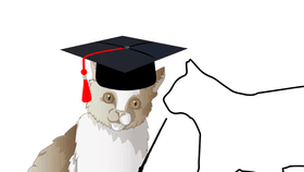 How to Properly Pet a Cat