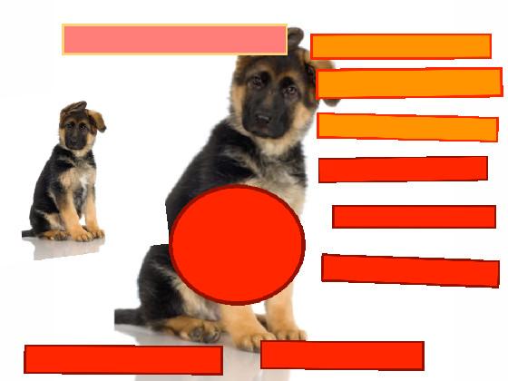 dog clicker 1