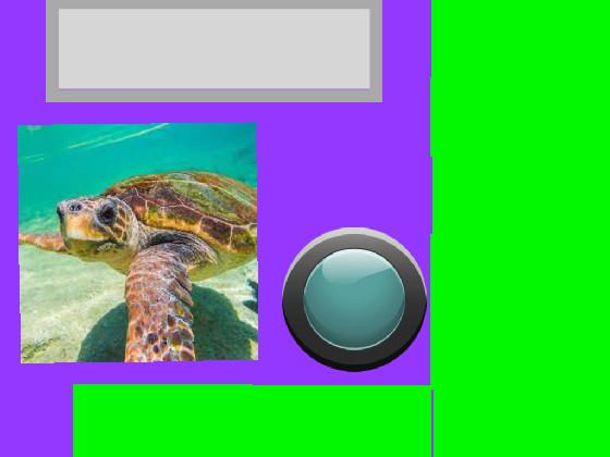 Turtle Clicker 🐢 1