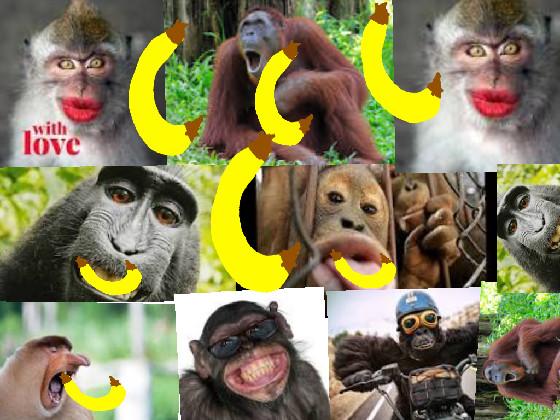 MONKE BANANA