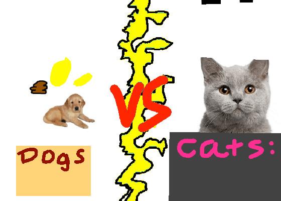 Dogs vs Cats!!🐈🐕 1 1