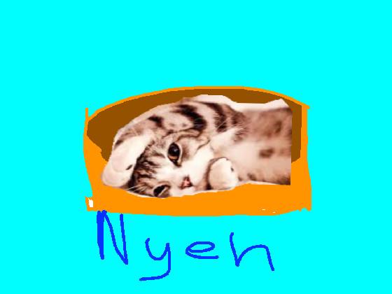 LAZY CAT (cute)