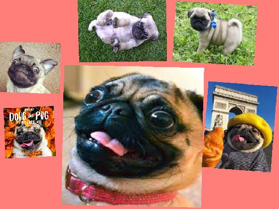 PLZ LOVE PUGS! plz.