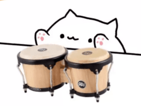 bongo cat goes insane