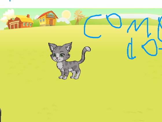 get away from the cat