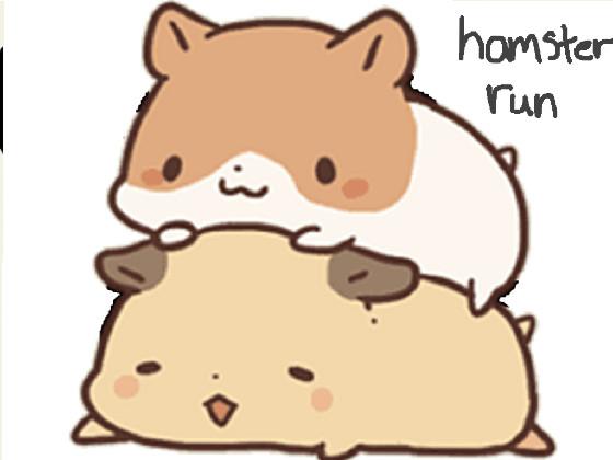 hamster run by: Tailor