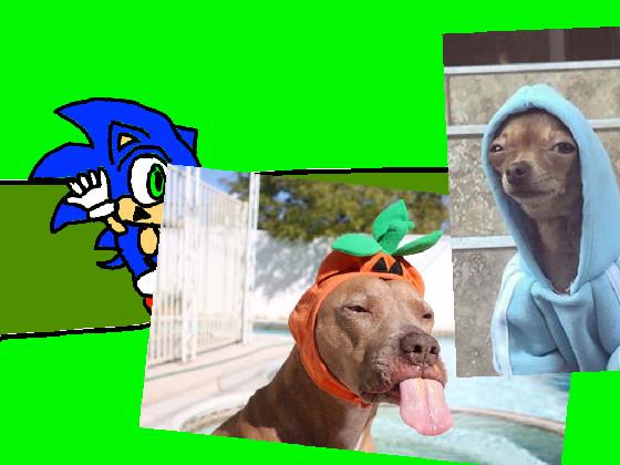 Sonic dash 1 1