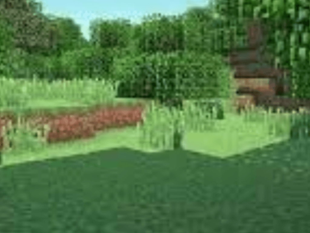 build your minecraft town
