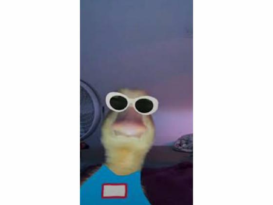 when the imposter is a duck
