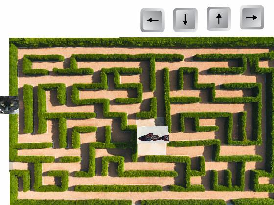cat maze game